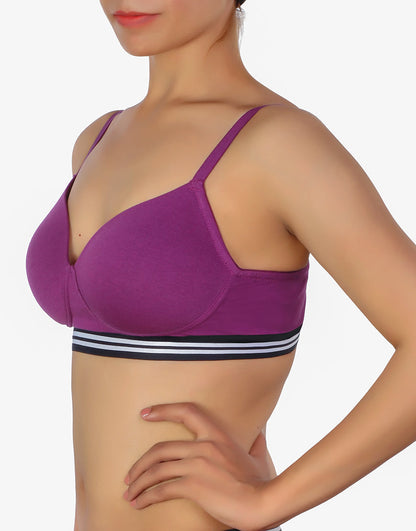 Pack of 3, LIGHTLY PADDED NON WIRED TSHIRT BRA WITH STRIPED ELASTIC WAIST BAND-PURPLE