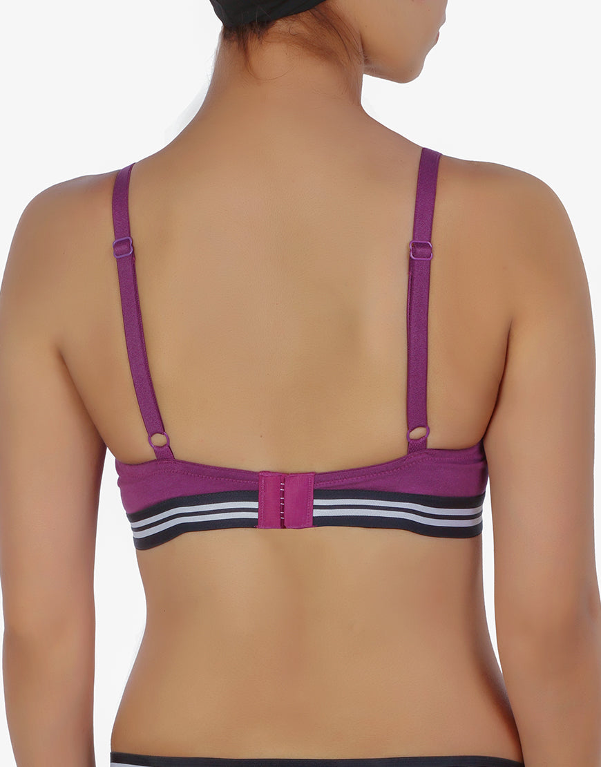 Pack of 3, LIGHTLY PADDED NON WIRED TSHIRT BRA WITH STRIPED ELASTIC WAIST BAND-PURPLE